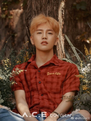 【A.C.E】Donghun李东勋安利向