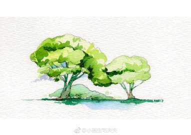 【钢笔淡彩教程】九种植被表现方法分享给大家~△ 画笔：马蒂尼松鼠毛△ 颜料：荷尔拜因、史明克 （作者： 小画生宅夫夫 ） ​