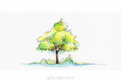 【钢笔淡彩教程】九种植被表现方法分享给大家~△ 画笔：马蒂尼松鼠毛△ 颜料：荷尔拜因、史明克 （作者： 小画生宅夫夫 ） ​