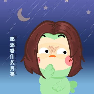 因雀思听陪你一起去看流星雨