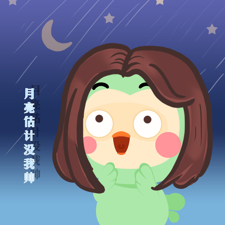 因雀思听陪你一起去看流星雨