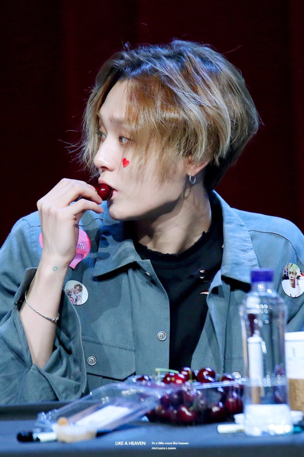 金晓钟E‘DAWN