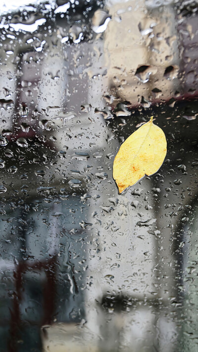 雨水