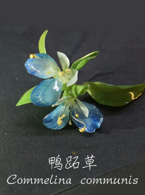 b站梨花梨花开离别的热缩作品