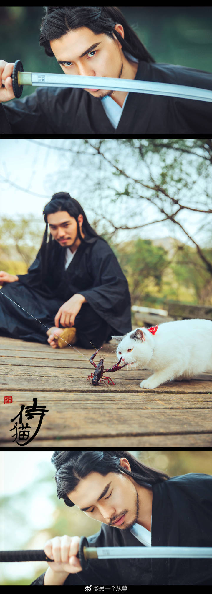 【猫侍】
“一起战斗吧,
小猫咪！”
出镜：@邱风Neo 猫咪抵迪
老师：@疯子Charles
抄送：@摄影9课官方微薄 @半次元cosplay频道@微相册 