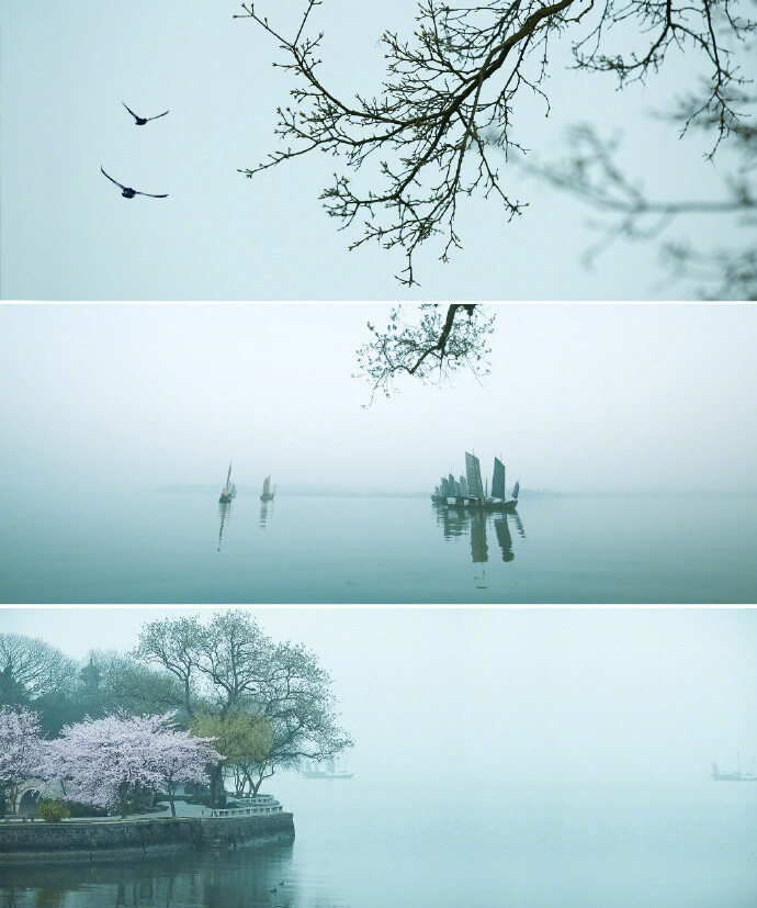 想舀一瓢這一年這個季節的江南煙雨，輕舟綠衣為酒曲，只為釀制一整年的百轉漣漪。photo | @子-夜鳥 ​​​​