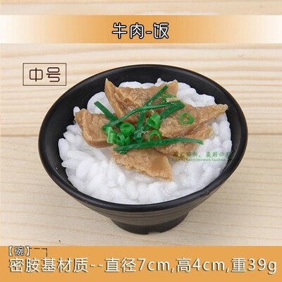 仿真碗食品面饭菜模型菜品寿司假面条米饭日本料理拍摄食物道玩具