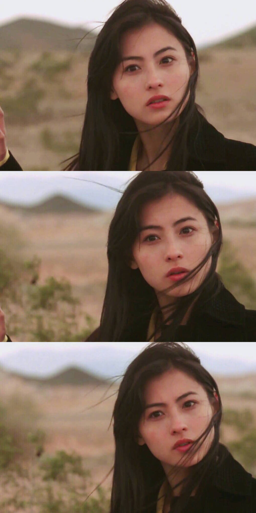 张柏芝无限复活