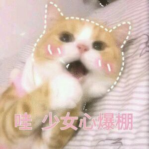 发现人越来越活的没有人样