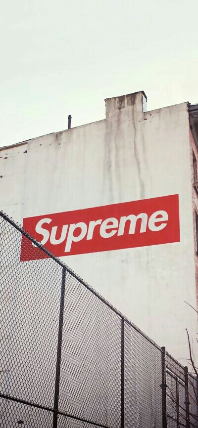 Pidan｜Supreme