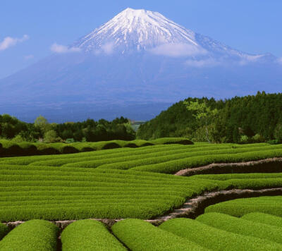 富士山