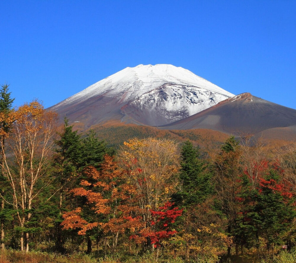 富士山