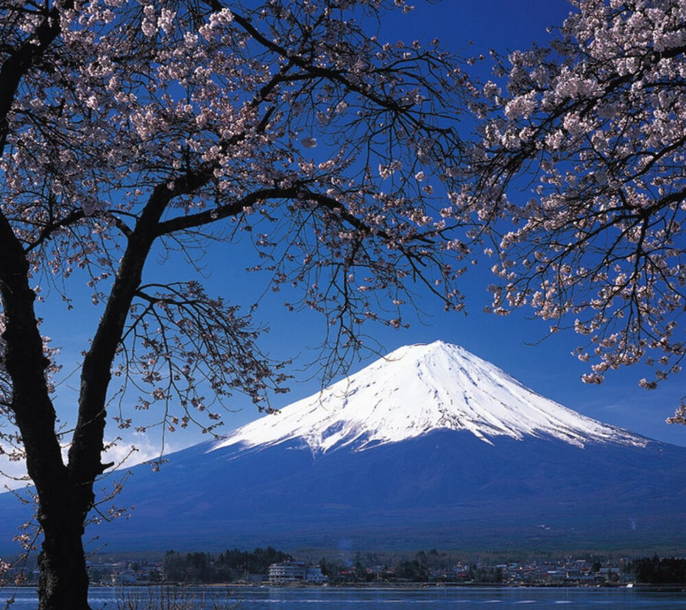 富士山