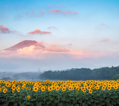 富士山