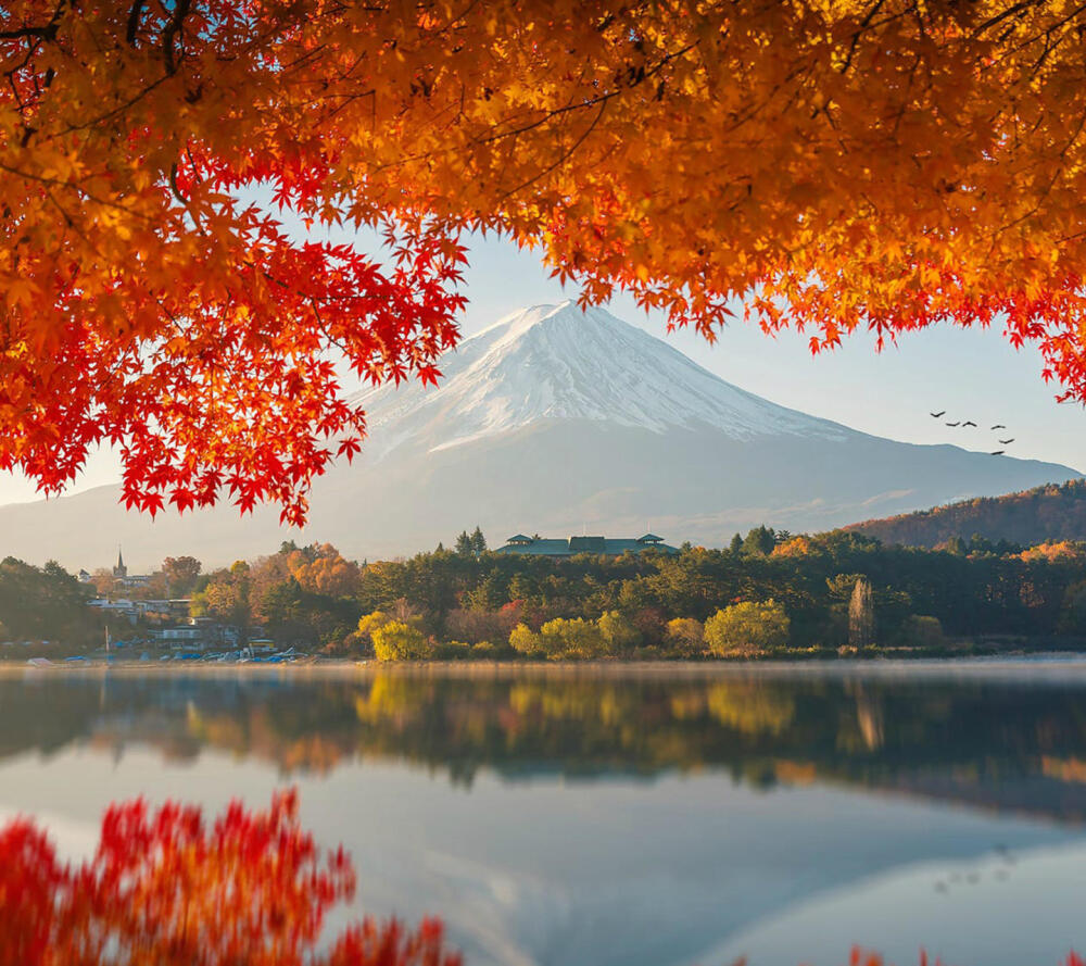 富士山