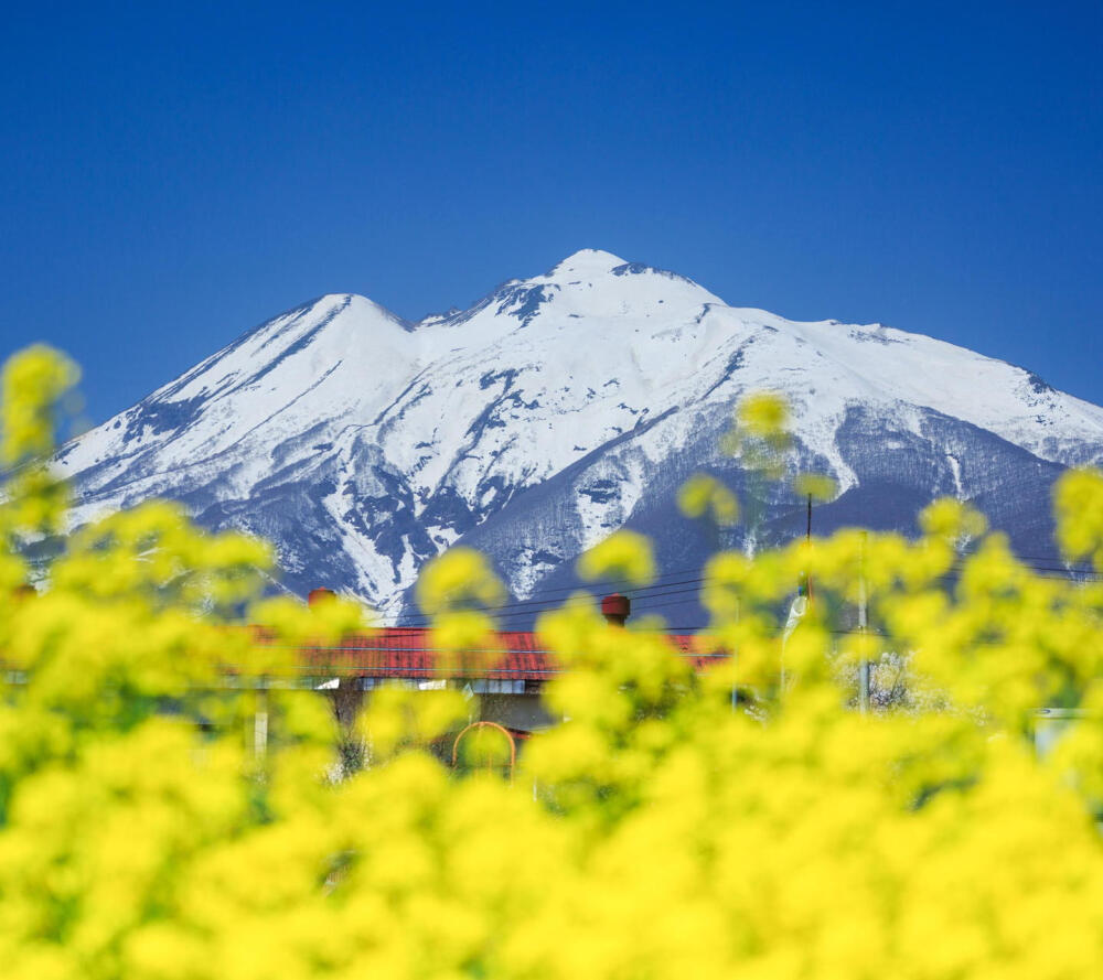 富士山