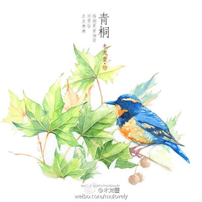 花与鸟 作者：木龙蕾