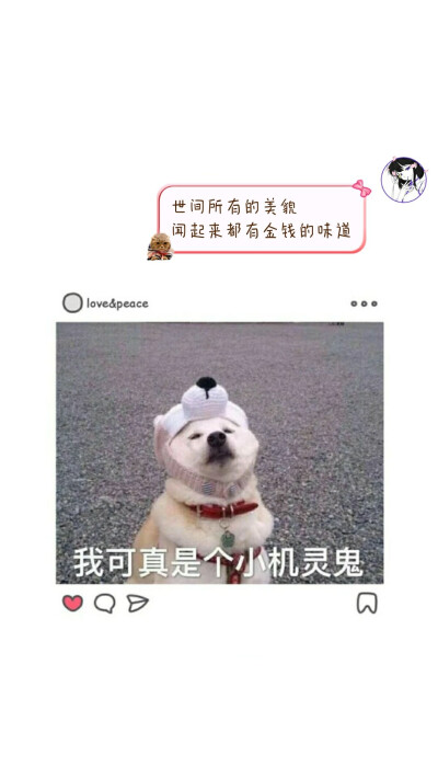 三张自制壁纸
喜欢赞赞