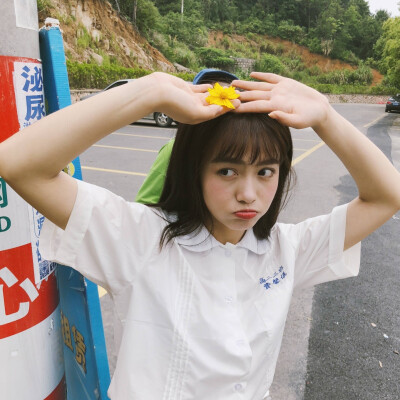 萌新♡