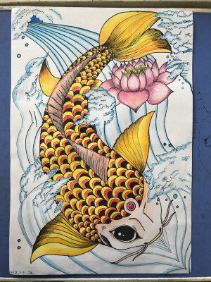 鲤鱼