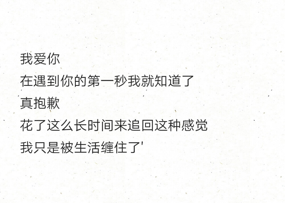 我爱你
在遇到你的第一秒我就知道了
真抱歉
花了这么长时间来追回这种感觉
我只是被生活缠住了'