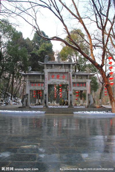 Happy Children's Day