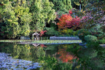 日本龙安寺-春天去哪里旅游最好