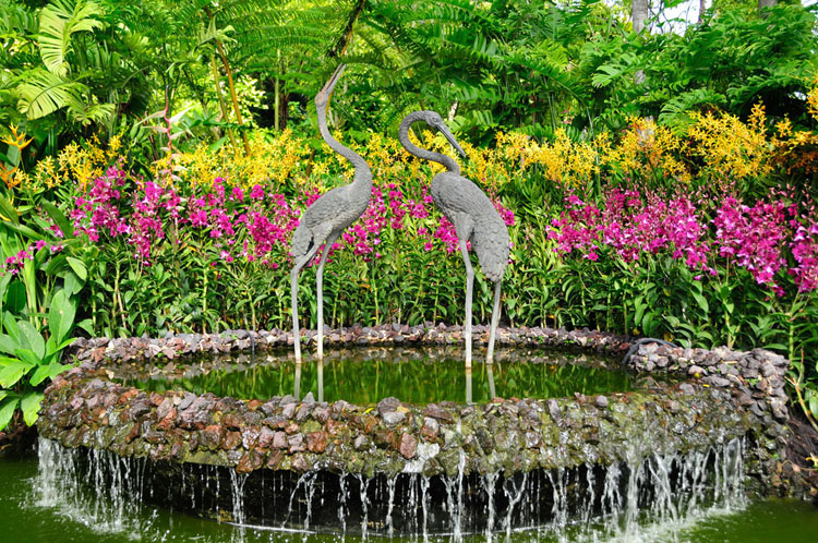 新加坡植物圆水池-春天去哪里旅游最好