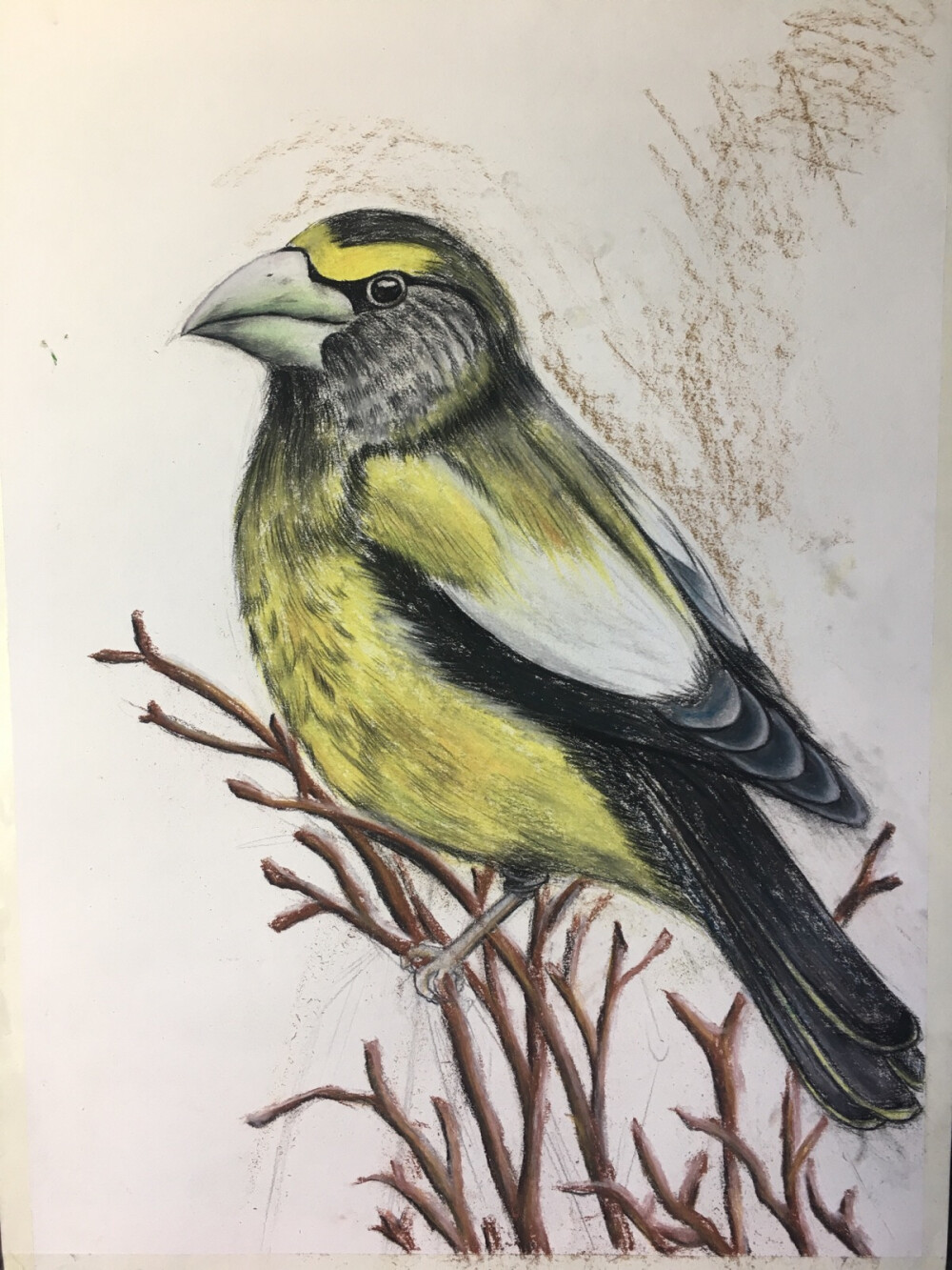 花前月下，鸟语花香