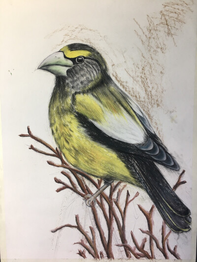 花前月下，鸟语花香