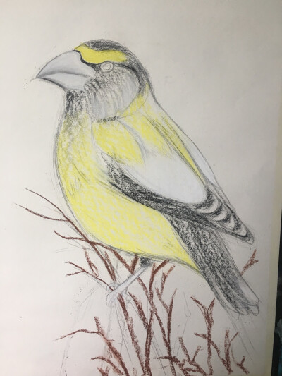 花前月下，鸟语花香