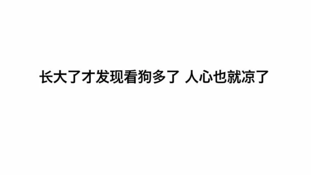 长大了才发现看狗多了 心也就凉了