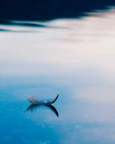 floating feather