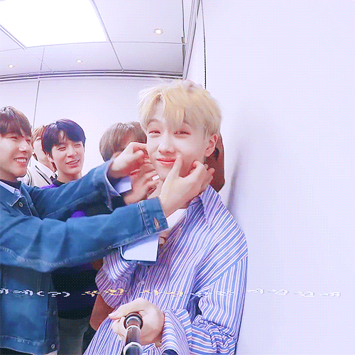 nct dream 朴志晟 哥哥太爱我了怎么办 gif … - 堆糖,美图谥叫巳