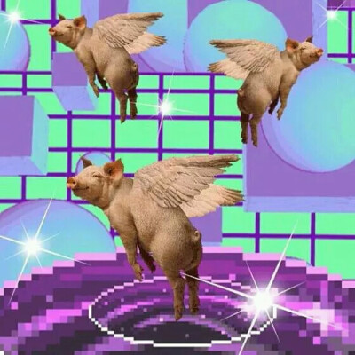 uploaded：T R Λ P C O D E