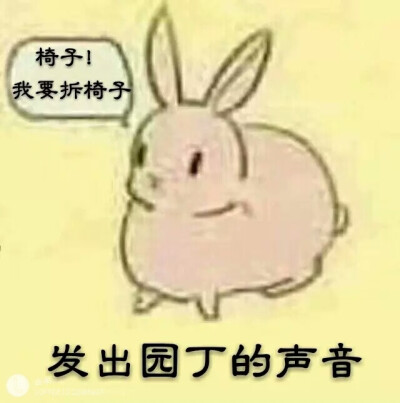 表情包