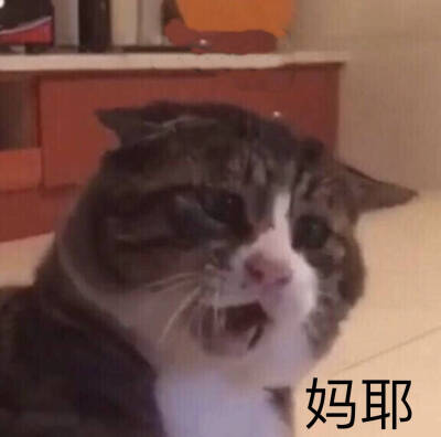 表情包