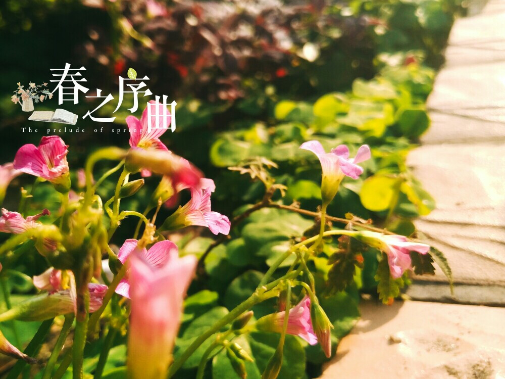 花