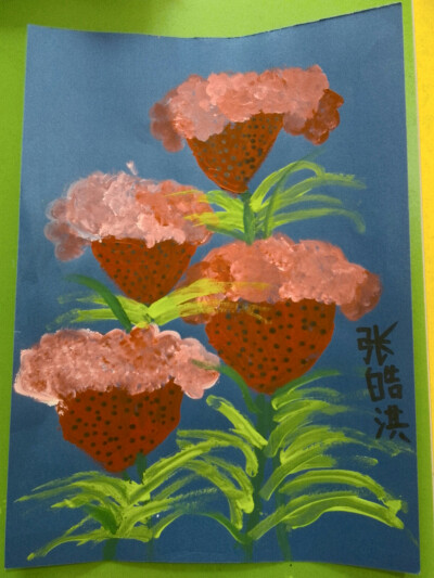 鸡冠花