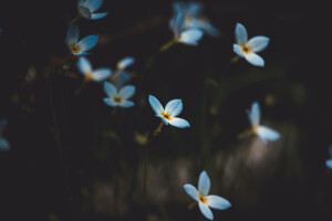 什么都不用讲，拍就好了