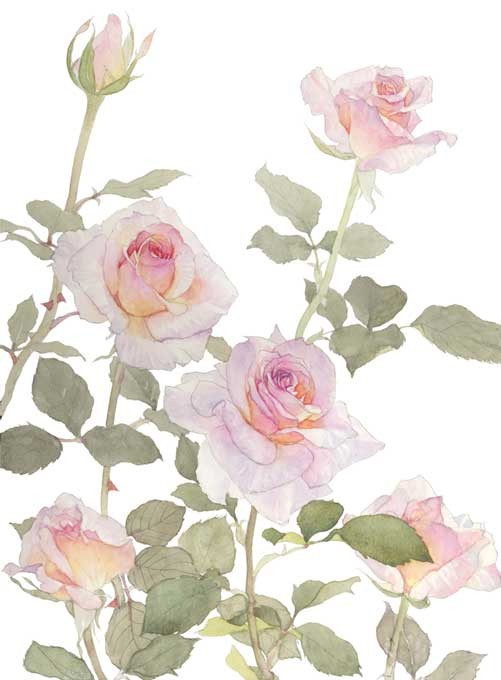 花卉