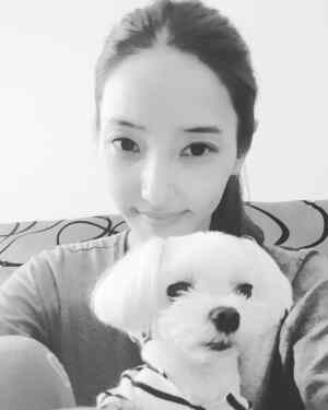 爱豆 演员IG更新相关