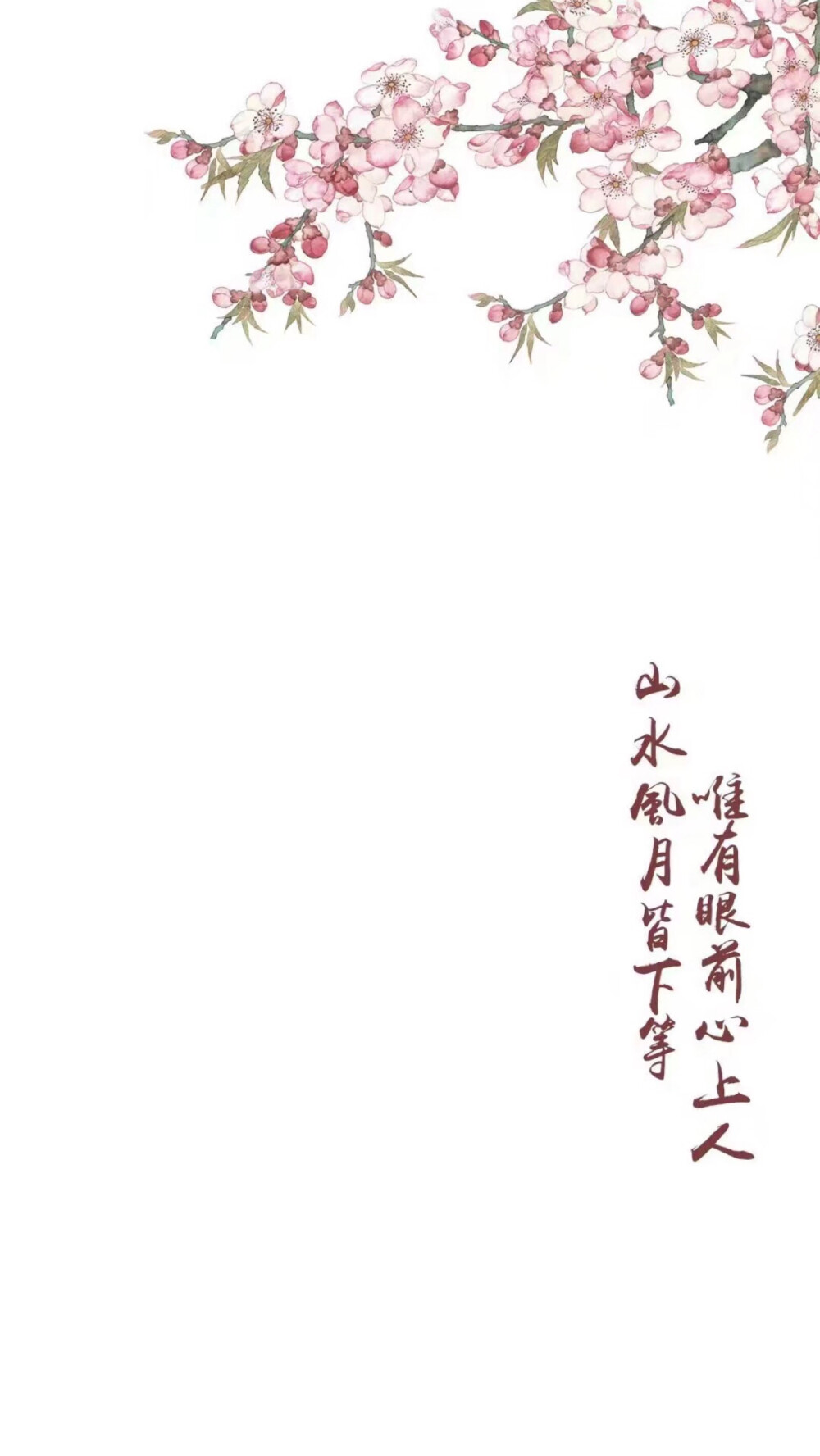白色 简约 壁纸 语录 古风 黑底 by：可爱雯 图源QQ by：可爱雯