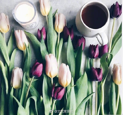 郁金香·咖啡
