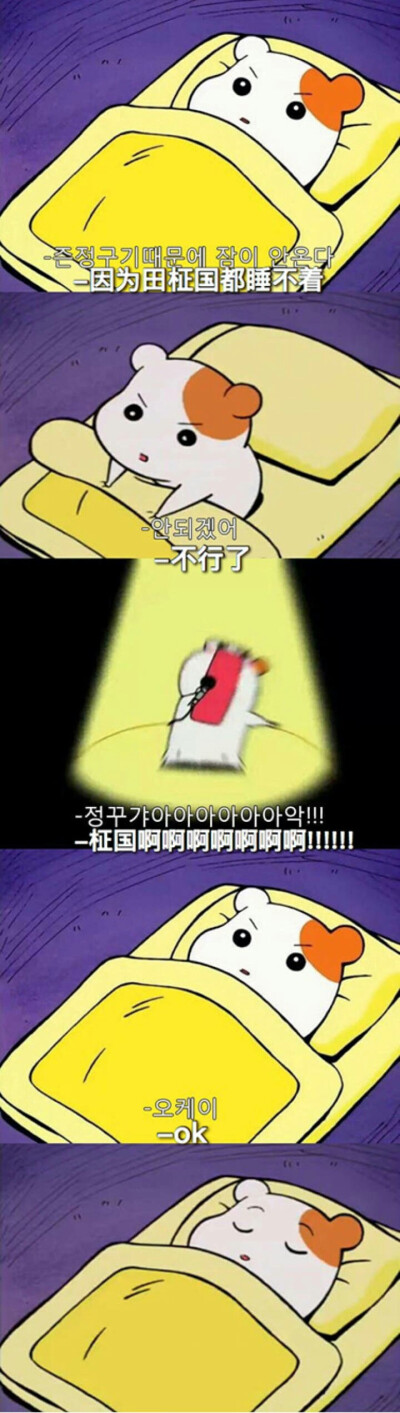 wuli阿米们也是很可爱了