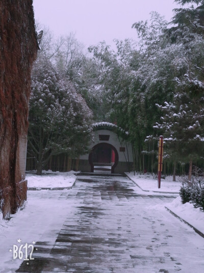 大慈恩寺