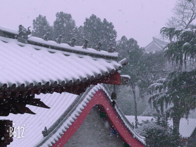 大慈恩寺