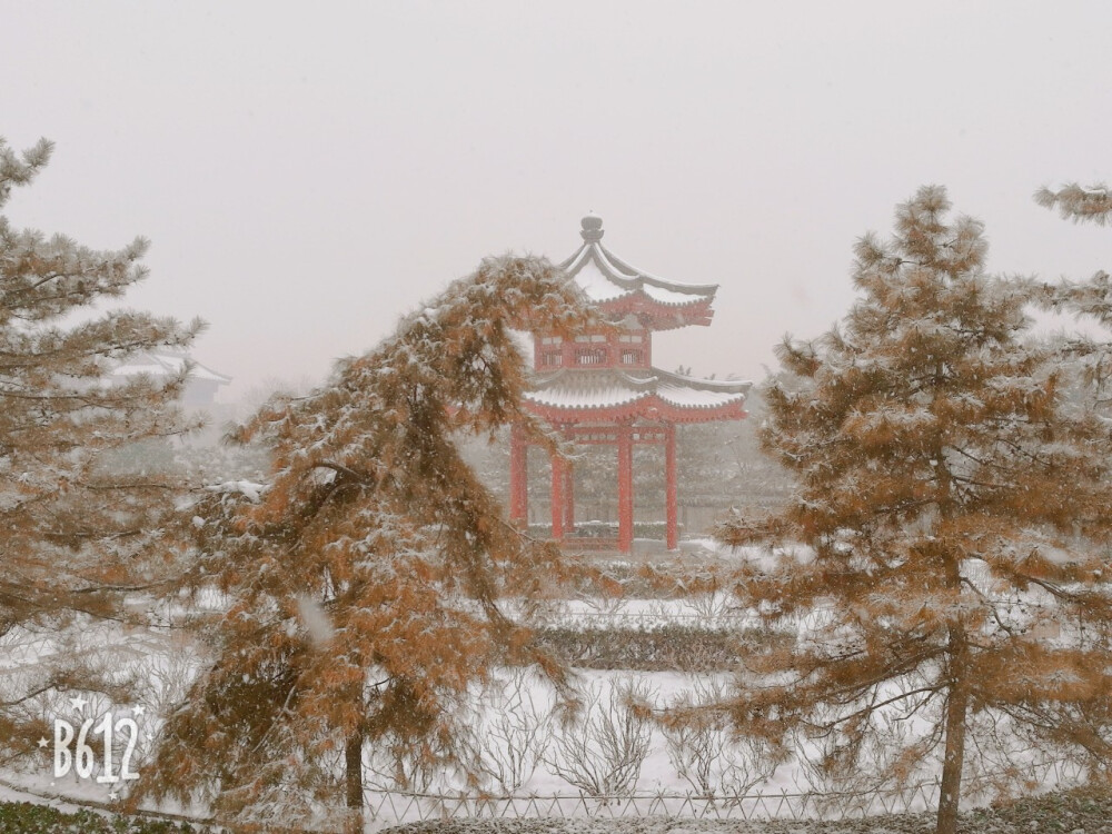 大慈恩寺