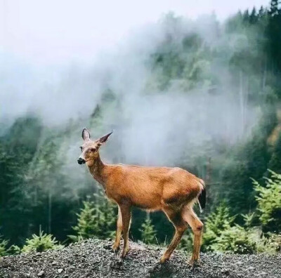 9.一些心理小暗示：如果你感觉有人在看你，你可以看下自己的手表或者戴手表的位置。如果那人在看你，他也会下意识的看看自己的手腕/手表。
还有一种方法是，你可以打哈欠。然后看看那人有没有同样打哈欠。如果他也打…