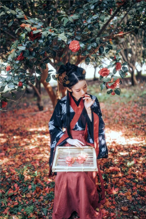 兰若庭 传统汉服  
魏晋风广袖交领襦裙
汉服推荐